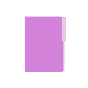FOLDER 2317 FLASHFILE LILA UNIDAD
