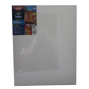 CANVA POINTER 40X50 CM (20% DE DESCUENTO EN 4 O MAS UNIDADES)