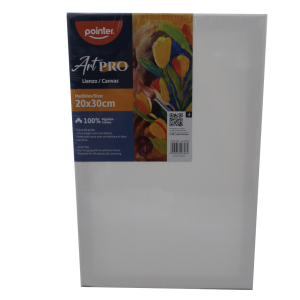 LIENZO BLANCO POINTER 20X30CM (25% DE DESCUENTO EN 5 O MAS UNIDADES)